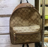 その他 コーチ （ブランドバッグ）の商品画像 - 査定依頼日：2026年4月6日 - 最高査定価格：3,000円