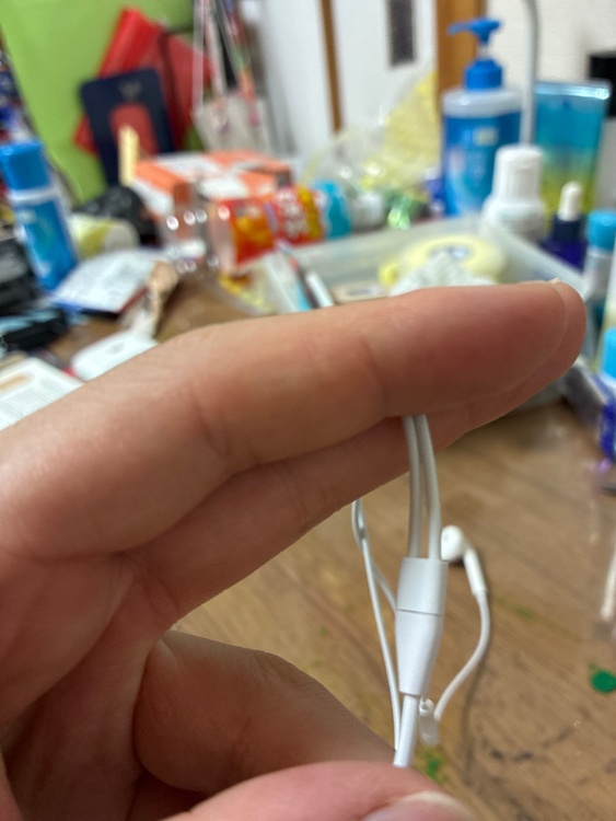 Apple 純正 EarPods with Lightning Connecto（オーディオ・スピーカー）の商品画像 - 査定依頼日：2026年4月22日 - 最高査定価格：100,000円