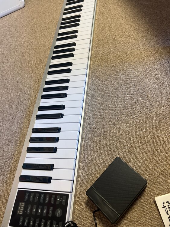 プレイタッチイージー（ピアノ・楽器・PA機材）の商品画像 - 査定依頼日：2024年10月1日