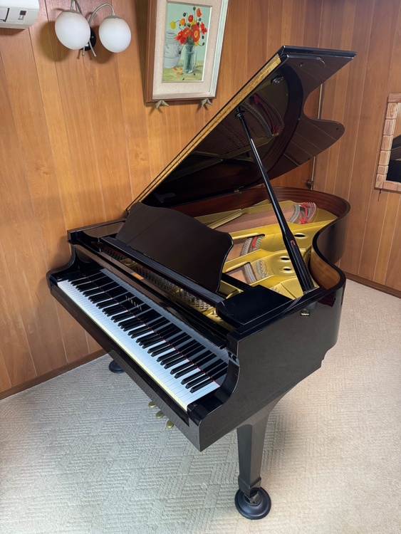 C5  3890942  （ピアノ・楽器・PA機材）の商品画像 - 査定依頼日：2026年1月21日 - 最高査定価格：10,000円