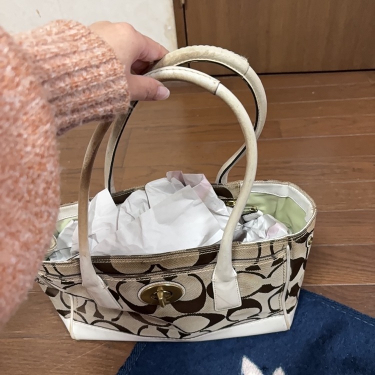 その他 コーチ （ブランドバッグ）の商品画像 - 査定依頼日：2025年11月6日 - 最高査定価格：10,000円