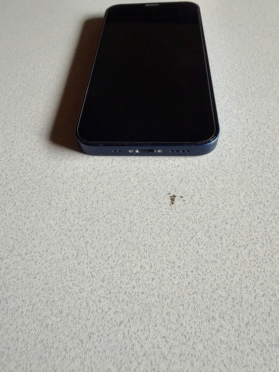 iPhone iPhone 12 mini 64GB au（スマホ）の商品画像 - 査定依頼日：2026年6月27日 - 最高査定価格：14,000円