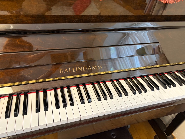 BALLINDAMM（ピアノ・楽器・PA機材）の商品画像 - 査定依頼日：2026年5月6日 - 最高査定価格：20,000円