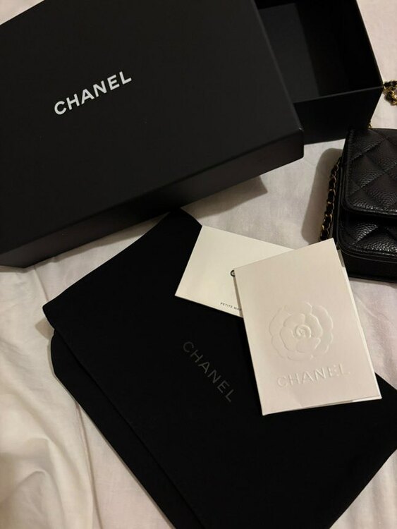 マトラッセ チェーンウォレット（ブランドバッグ）の商品画像 - 査定依頼日：2025年5月27日 - 最高査定価格：400,000円