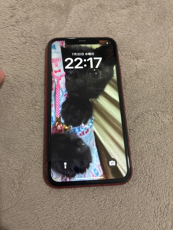 iPhone iPhone11 64GB Softbank（スマホ）の商品画像 - 査定依頼日：2026年7月22日 - 最高査定価格：20,000円
