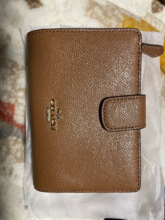 その他 コーチ （ブランドバッグ）の商品画像 - 査定依頼日：2025年3月10日 - 最高査定価格：3,000円