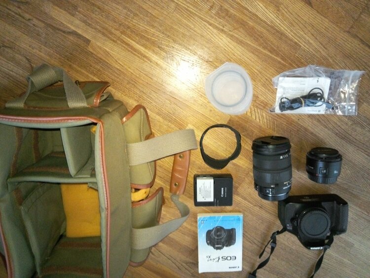 キャノンEOS Kiss X5（カメラ）の商品画像 - 査定依頼日：2025年12月14日 - 最高査定価格：12,000円