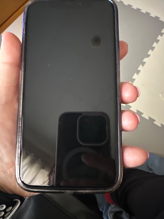 iPhone iPhone11 Pro 256GB SIMフリー（スマホ）の商品画像 - 査定依頼日：2026年5月25日 - 最高査定価格：18,000円