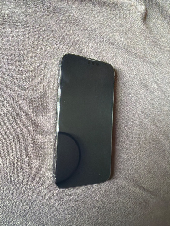 iPhone 13 Pro 256GB Softbank（スマホ）の商品画像 - 査定依頼日：2026年3月21日 - 最高査定価格：50,000円