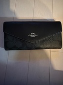 その他 コーチ （ブランドバッグ）の商品画像 - 査定依頼日：2026年2月11日 - 最高査定価格：2,500円