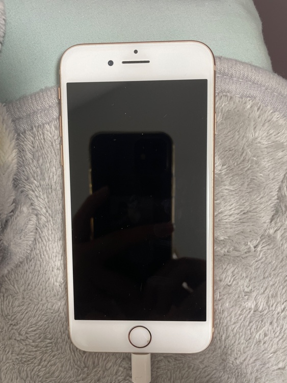 iPhone8 64GB Softbank（スマホ）の商品画像 - 査定依頼日：2026年5月10日 - 最高査定価格：4,000円