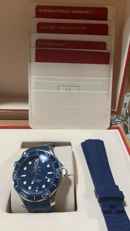 オメガ シーマスター 2103242200300（高級時計）の商品画像 - 査定依頼日：2025年5月21日 - 最高査定価格：550,000円