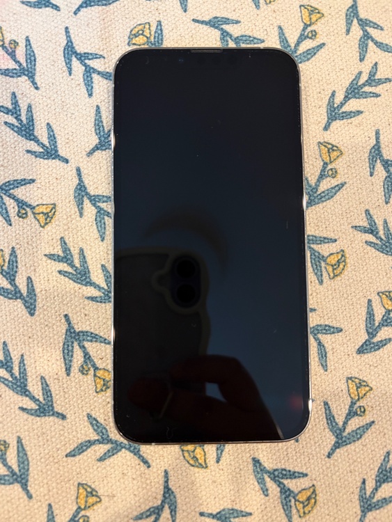 iPhone iPhone 13 Pro 256GB SIMフリー（スマホ）の商品画像 - 査定依頼日：2026年9月9日 - 最高査定価格：54,000円