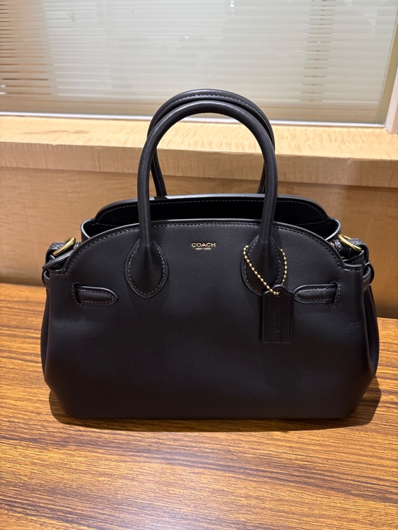 その他 コーチ （ブランドバッグ）の商品画像 - 査定依頼日：2026年2月5日 - 最高査定価格：3,500円
