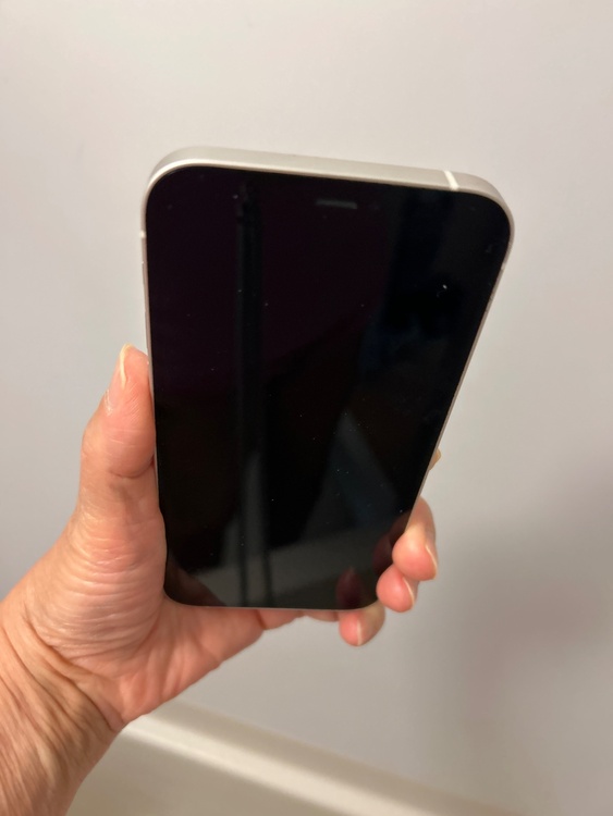 iPhone iPhone 12 64GB Softbank（スマホ）の商品画像 - 査定依頼日：2026年8月17日 - 最高査定価格：20,500円