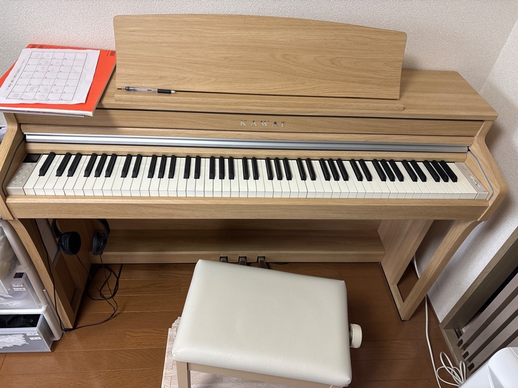 ca49lo（ピアノ・楽器・PA機材）の商品画像 - 査定依頼日：2026年4月23日 - 最高査定価格：5,000円