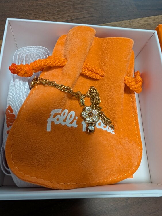 Folli Follie　ネックレス（金・貴金属）の商品画像 - 査定依頼日：2026年9月13日 - 最高査定価格：500円