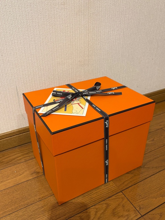 エルメス ピコタン （ブランドバッグ）の商品画像 - 査定依頼日：2025年12月25日 - 最高査定価格：540,000円