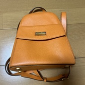 セリーヌ  （ブランドバッグ）の商品画像 - 査定依頼日：2025年12月28日 - 最高査定価格：26,000円