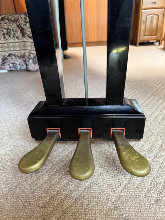 C5  3890942  （ピアノ・楽器・PA機材）の商品画像 - 査定依頼日：2026年1月21日 - 最高査定価格：10,000円