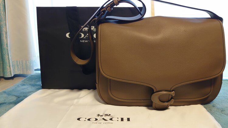 その他 コーチ （ブランドバッグ）の商品画像 - 査定依頼日：2026年3月6日 - 最高査定価格：20,000円