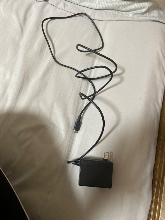 Switch light（ゲーム機本体・ゲームソフト）の商品画像 - 査定依頼日：2023年12月14日 - 最高査定価格：9,000円