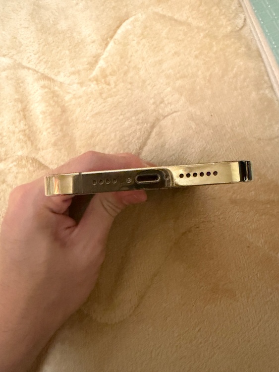 iPhone13Pro MAX256㎇ゴールド（スマホ）の商品画像 - 査定依頼日：2026年6月9日 - 最高査定価格：62,000円