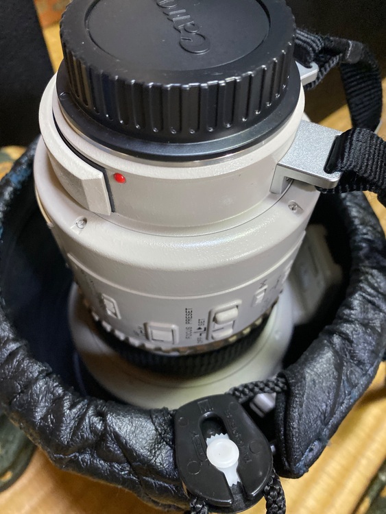 キャノン EF 200mm f/1.8L（カメラ）の商品画像 - 査定依頼日：2025年11月14日 - 最高査定価格：240,000円