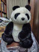 パンダぬいぐるみ（その他のおもちゃ）の商品画像 - 査定依頼日：2026年3月17日 - 最高査定価格：1,000円