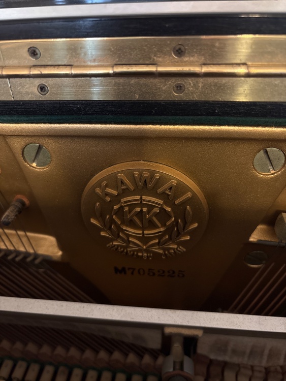 BL31（ピアノ・楽器・PA機材）の商品画像 - 査定依頼日：2026年2月28日 - 最高査定価格：10,000円