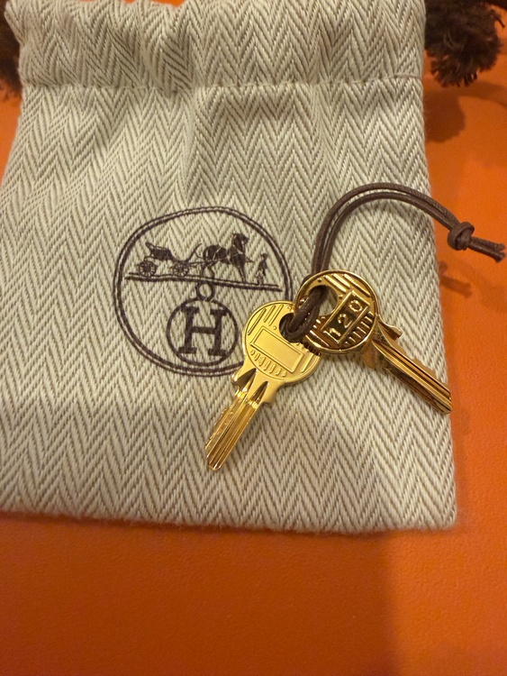 エルメス ピコタン （ブランドバッグ）の商品画像 - 査定依頼日：2026年2月23日 - 最高査定価格：430,000円