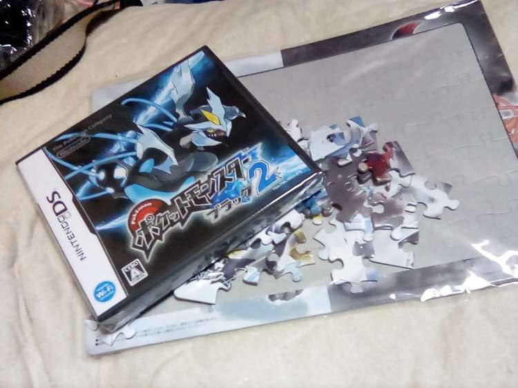 ポケットモンスターブラック2+予約特典付き（ゲーム機本体・ゲームソフト）の商品画像 - 査定依頼日：2023年9月16日 - 最高査定価格：2,500円