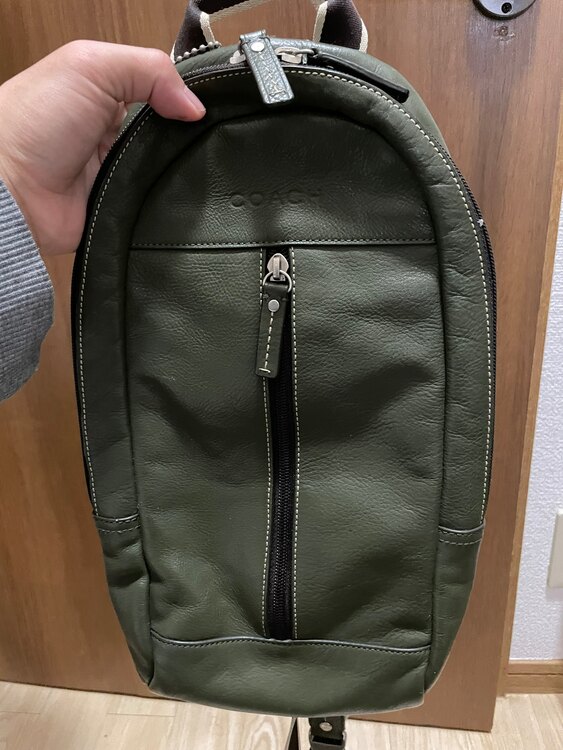 その他 コーチ （ブランドバッグ）の商品画像 - 査定依頼日：2025年3月9日 - 最高査定価格：100,000円