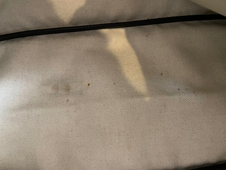 ゴヤール  （ブランドバッグ）の商品画像 - 査定依頼日：2024年12月25日 - 最高査定価格：220,000円