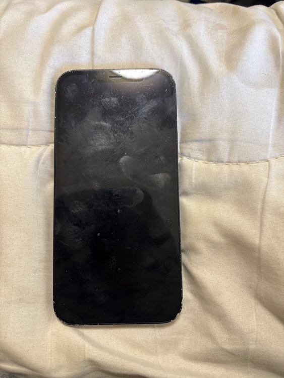 iPhone（スマホ）の商品画像 - 査定依頼日：2026年2月23日 - 最高査定価格：24,000円