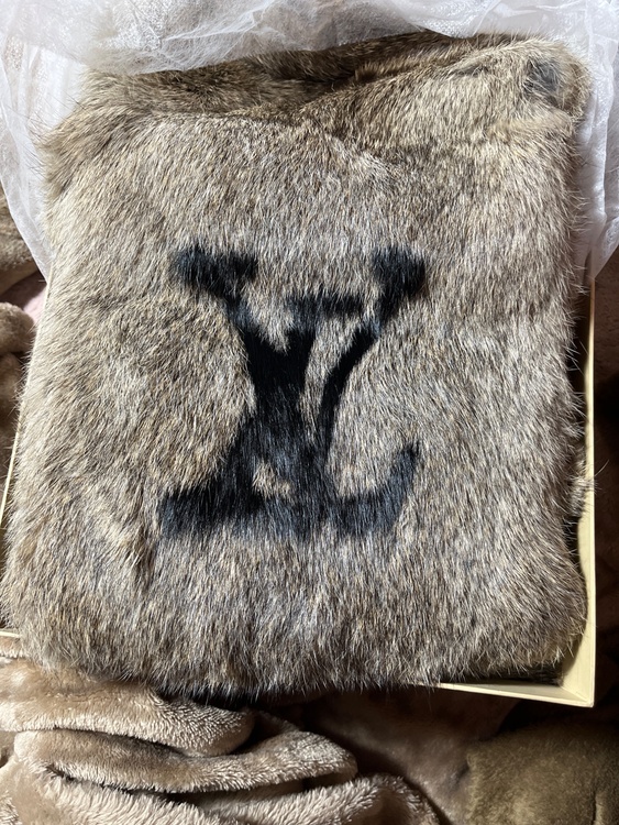 ルイヴィトン ルイヴィトン(その他) （ブランドバッグ）の商品画像 - 査定依頼日：2026年2月10日 - 最高査定価格：105,000円