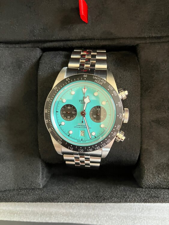 チューダー ブラックベイ M79360N-002（高級時計）の商品画像 - 査定依頼日：2025年3月31日 - 最高査定価格：1,000,000円