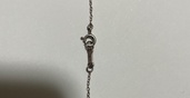 ティファニー　ビーンズ　ネックレス（金・貴金属）の商品画像 - 査定依頼日：2026年9月26日 - 最高査定価格：100,000円