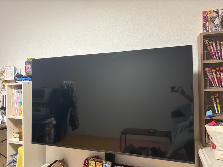 FL-65UF460（家電）の商品画像 - 査定依頼日：2026年3月11日 - 最高査定価格：18,000円