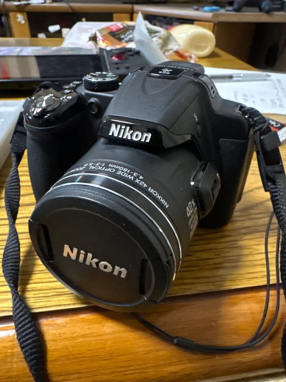 Nikonp520（カメラ）の商品画像 - 査定依頼日：2026年2月11日 - 最高査定価格：5,000円