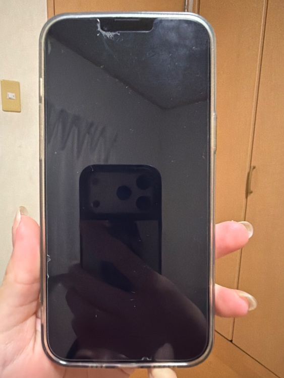 iPhone 13 Pro Max 512GB Softbank（スマホ）の商品画像 - 査定依頼日：2026年4月22日 - 最高査定価格：64,000円