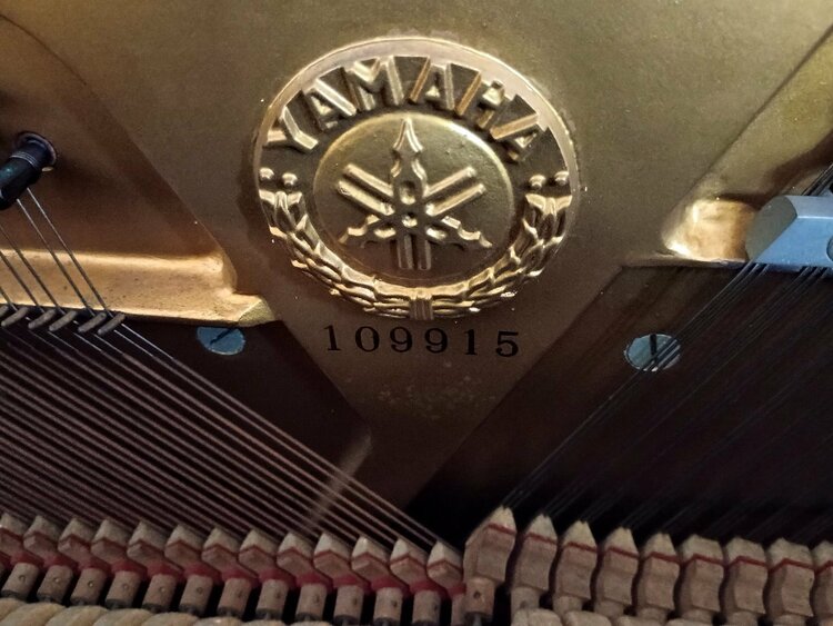U1　109915（ピアノ・楽器・PA機材）の商品画像 - 査定依頼日：2026年4月1日 - 最高査定価格：20,000円