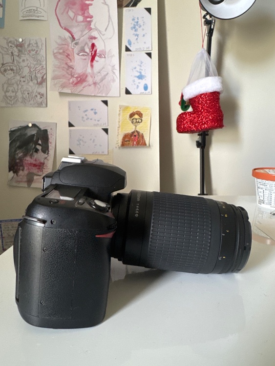  D70（カメラ）の商品画像 - 査定依頼日：2026年3月2日 - 最高査定価格：16,000円