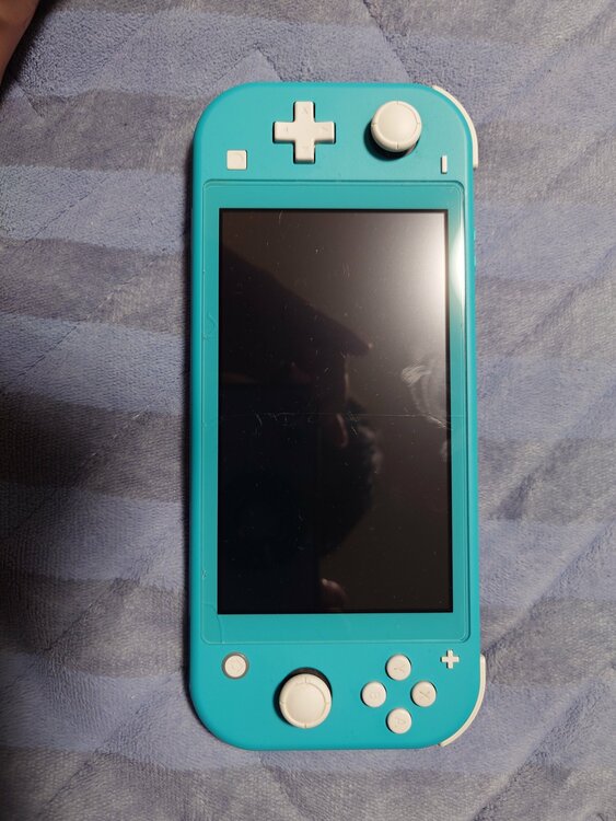 Nintendo Switch Lite（ゲーム機本体・ゲームソフト）の商品画像 - 査定依頼日：2026年4月12日 - 最高査定価格：12,000円