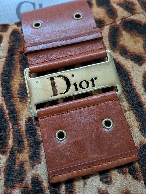 Dior　レオバード柄　バック（ブランドバッグ）の商品画像 - 査定依頼日：2026年6月21日 - 最高査定価格：200,000円