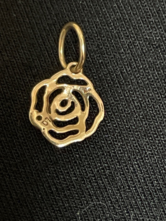 アガットネックレスチャーム（金・貴金属）の商品画像 - 査定依頼日：2026年3月5日 - 最高査定価格：25,000円