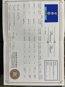 ダイヤモンドプラチナネックレス（宝石）の商品画像 - 査定依頼日：2026年9月6日 - 最高査定価格：250,000円