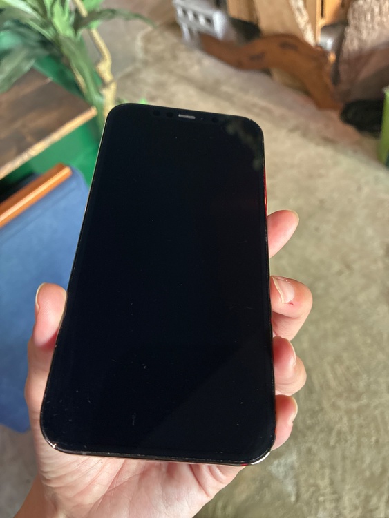 iPhone iPhone 12 Pro 128GB Softbank（スマホ）の商品画像 - 査定依頼日：2026年9月3日 - 最高査定価格：27,000円