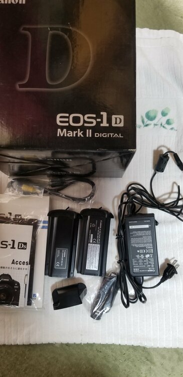 Canon EOS 1D MarkII キヤノン（カメラ）の商品画像 - 査定依頼日：2026年4月15日 - 最高査定価格：15,100円