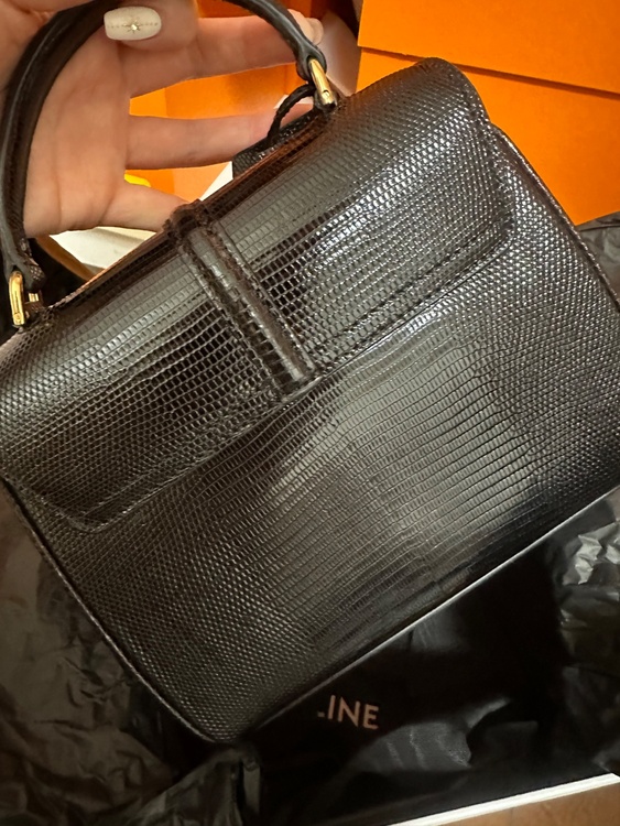 ミニ16セーズ　リザード（ブランドバッグ）の商品画像 - 査定依頼日：2026年1月29日 - 最高査定価格：280,000円